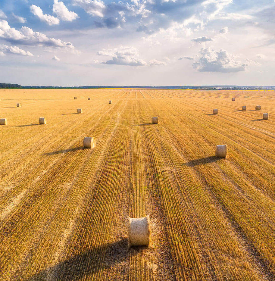 blog-bg-11 blog-bg-11