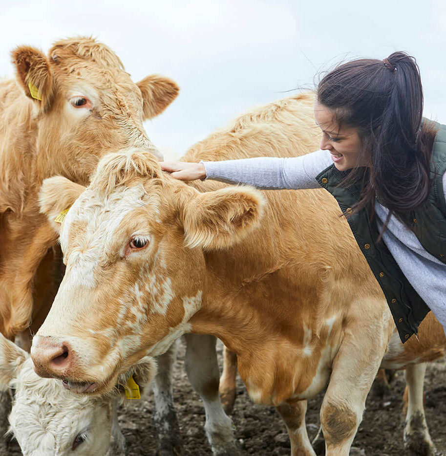 blog-bg-17 blog-bg-17