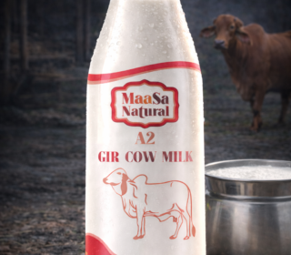 Pure Cow Milk